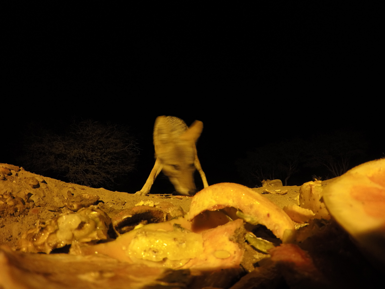 [10435] 2016_06_23_19_05_06_Africa_HERO4_Silver_IMG__03927.jpg