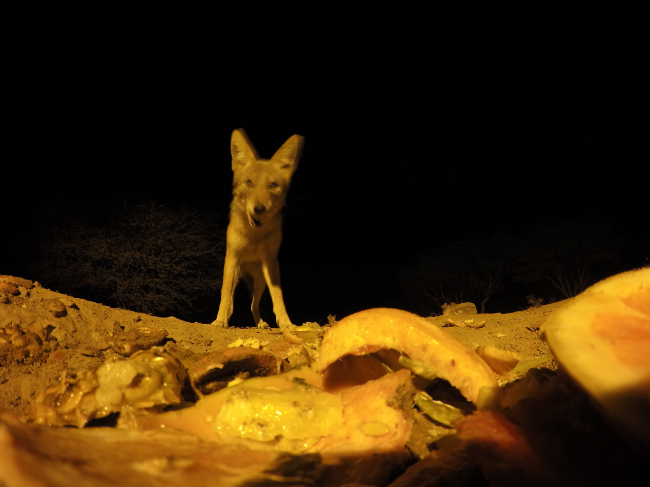 [10448] 2016_06_23_19_05_22_Africa_HERO4_Silver_IMG__00075.jpg