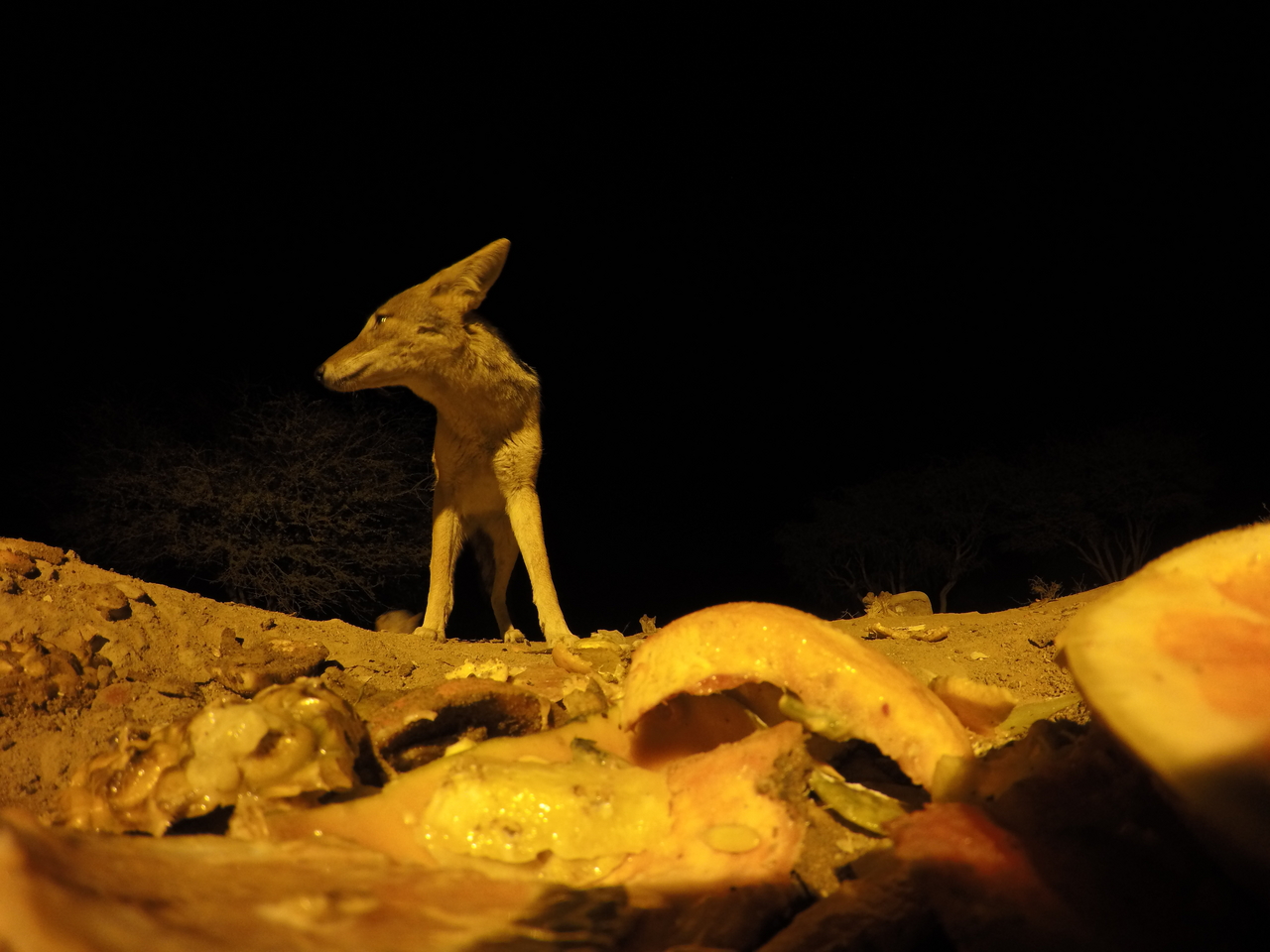 [10453] 2016_06_23_19_05_26_Africa_HERO4_Silver_IMG__03931.jpg