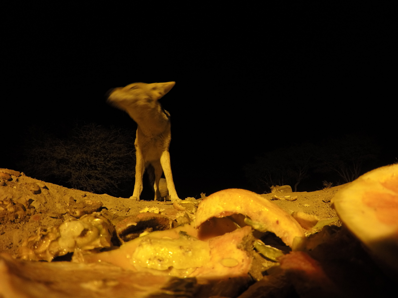 [10460] 2016_06_23_19_05_36_Africa_HERO4_Silver_IMG__00078.jpg