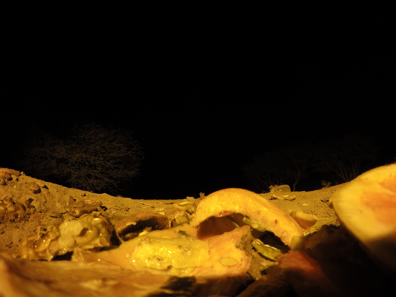 [10488] 2016_06_23_19_06_06_Africa_HERO4_Silver_IMG__00084.jpg