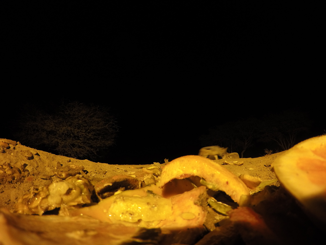 [10496] 2016_06_23_19_06_16_Africa_HERO4_Silver_IMG__00086.jpg