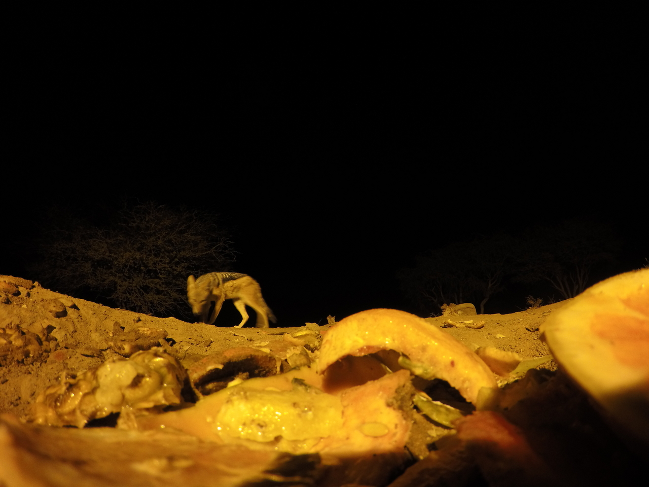 [10506] 2016_06_23_19_06_26_Africa_HERO4_Silver_IMG__00088.jpg