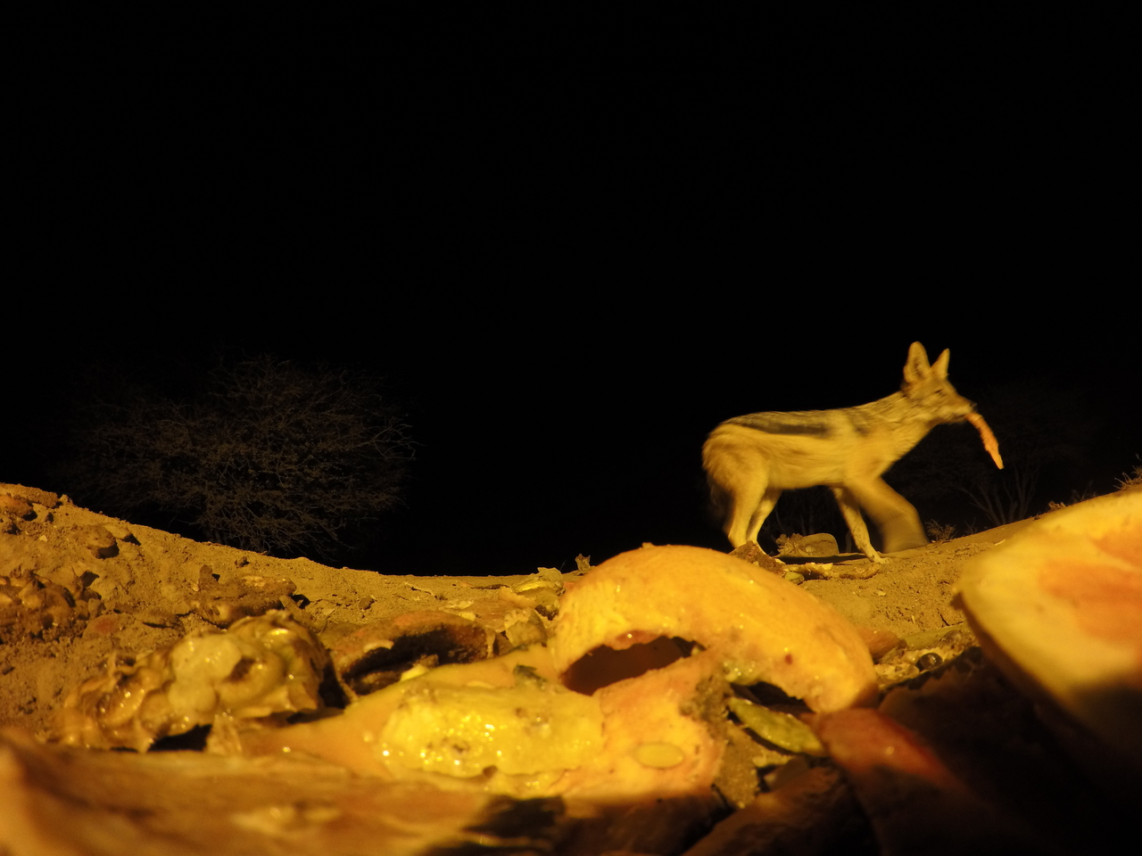 [10538] 2016_06_23_19_07_01_Africa_HERO4_Silver_IMG__00095.jpg