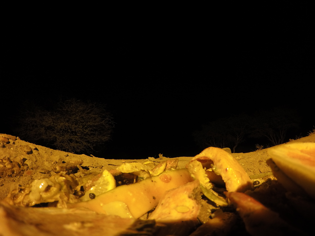 [10675] 2016_06_23_19_09_32_Africa_HERO4_Silver_IMG__03980.jpg