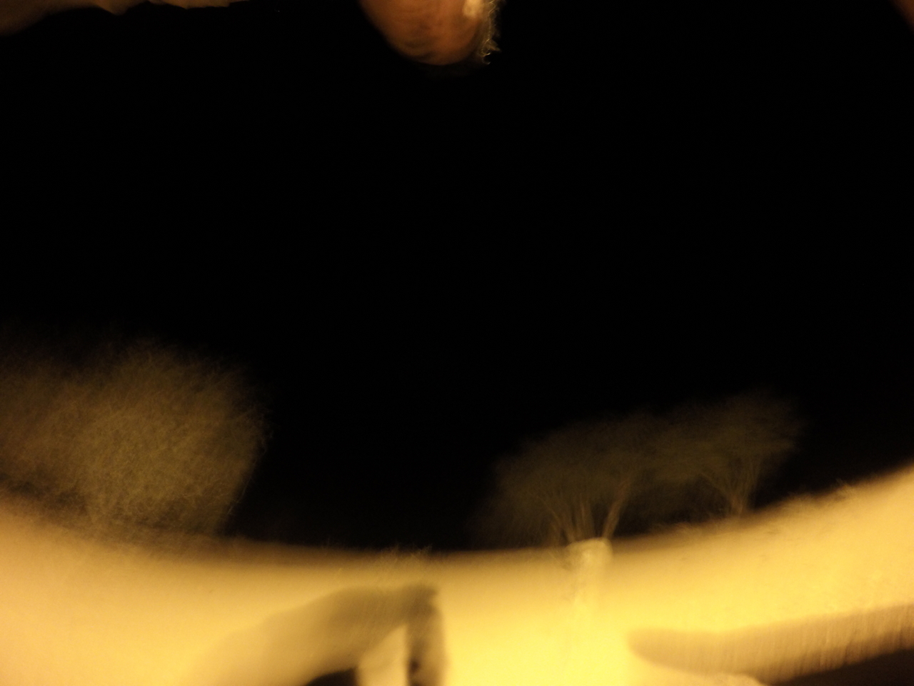 [10737] 2016_06_23_19_50_11_Africa_HERO4_Silver_IMG__00144.jpg