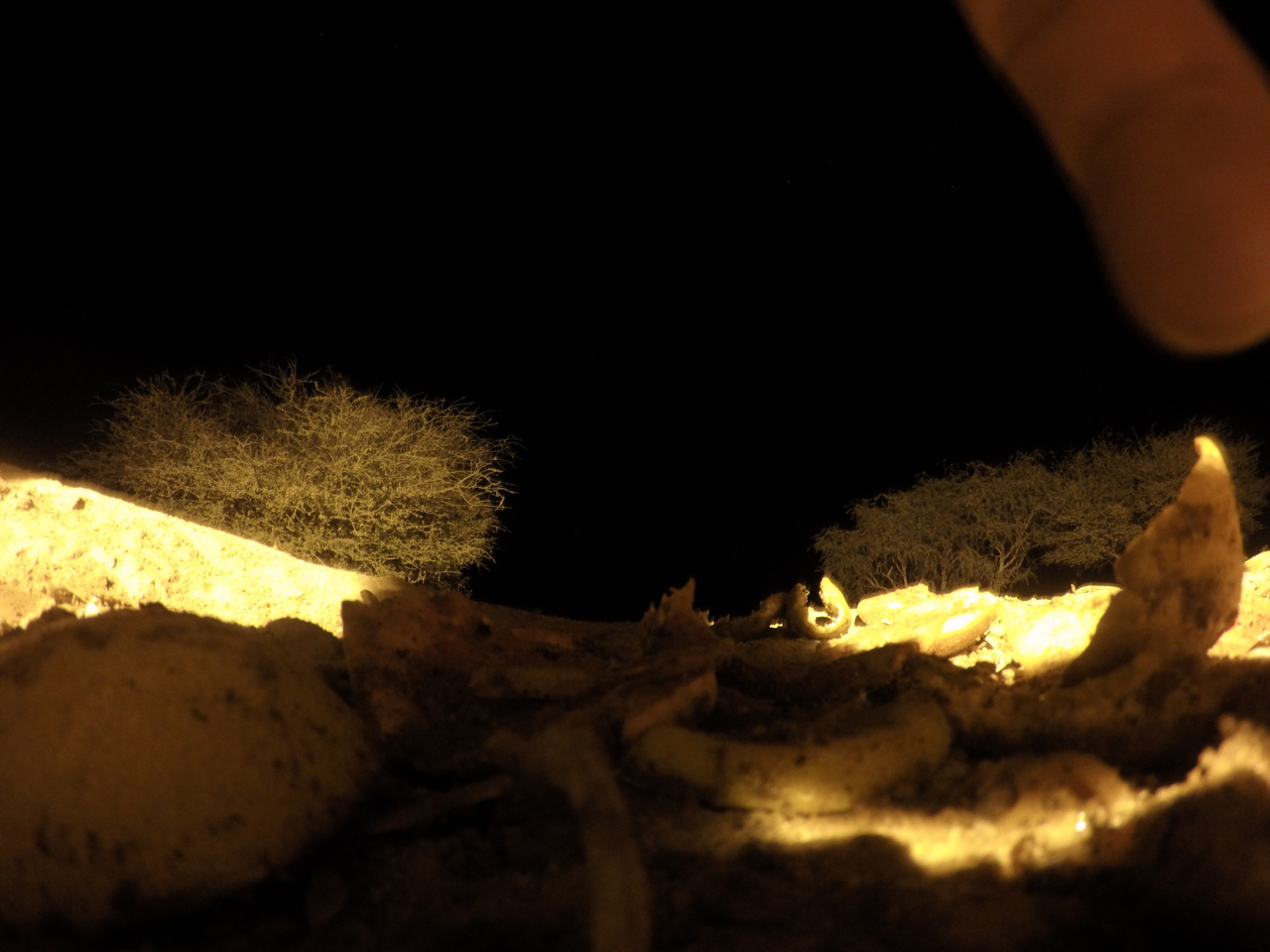 [10745] 2016_06_23_19_50_17_Africa_HERO4_Silver_IMG__00145.jpg