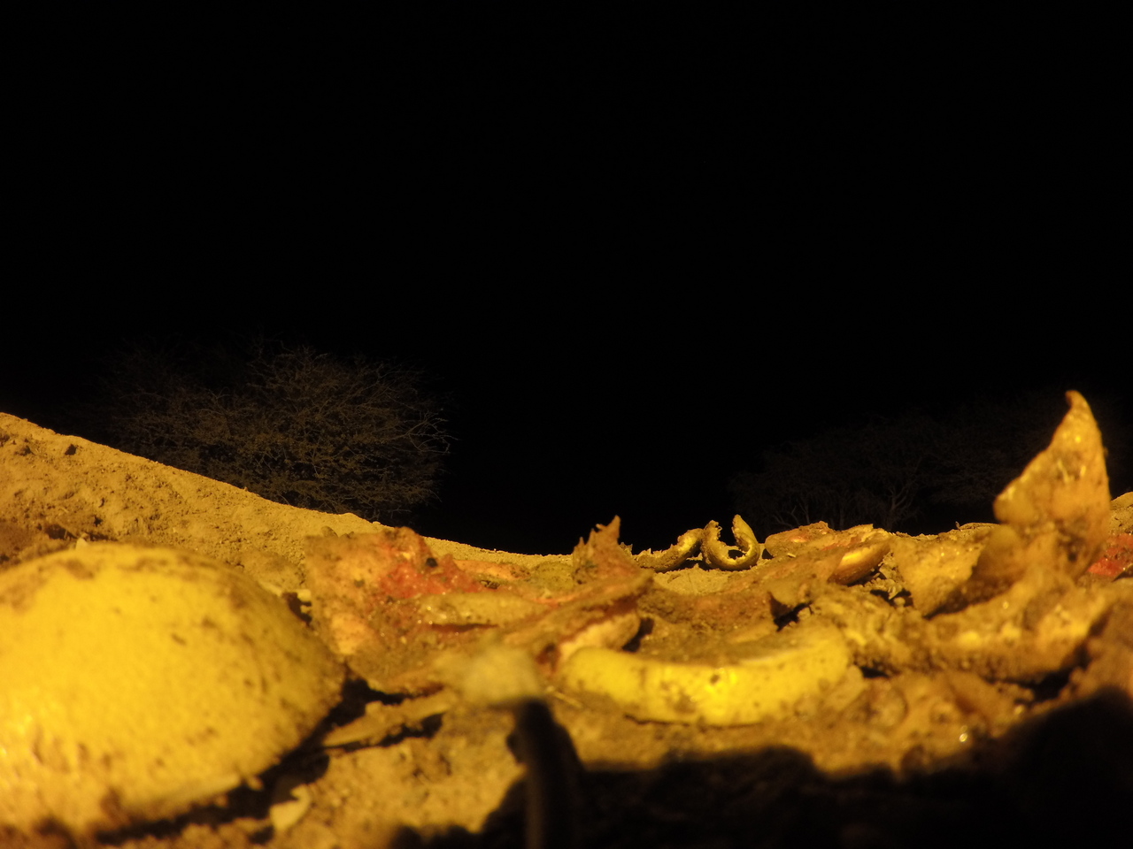 [10831] 2016_06_23_19_51_26_Africa_HERO4_Silver_IMG__00159.jpg