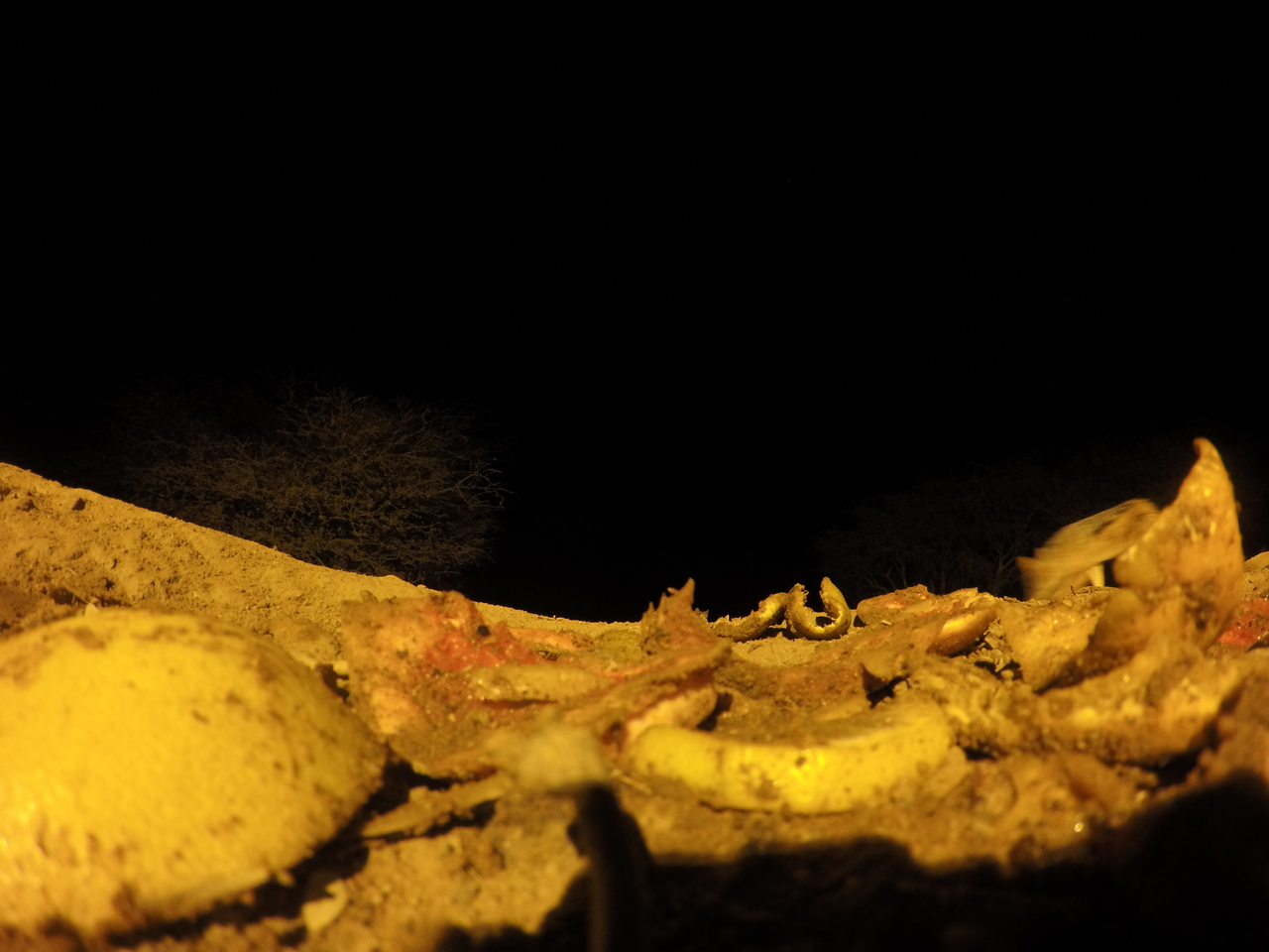 [10841] 2016_06_23_19_51_36_Africa_HERO4_Silver_IMG__00161.jpg