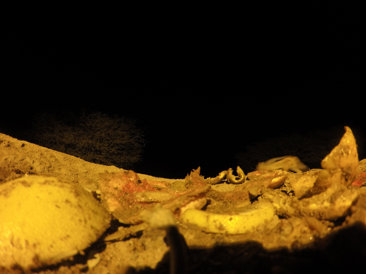 [10872] 2016_06_23_19_52_06_Africa_HERO4_Silver_IMG__04022.jpg