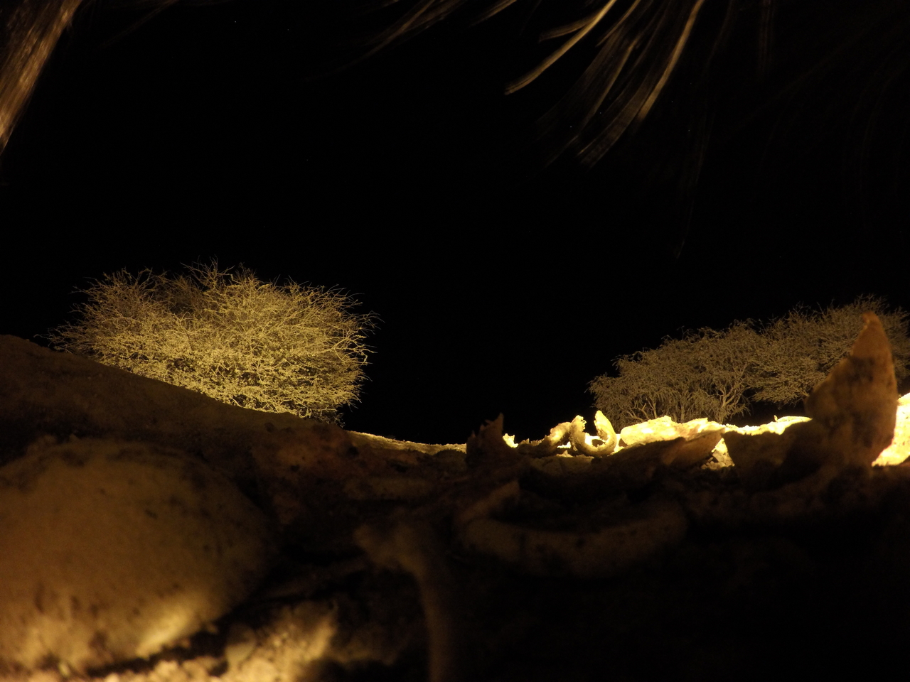 [10921] 2016_06_23_19_52_57_Africa_HERO4_Silver_IMG__00177.jpg