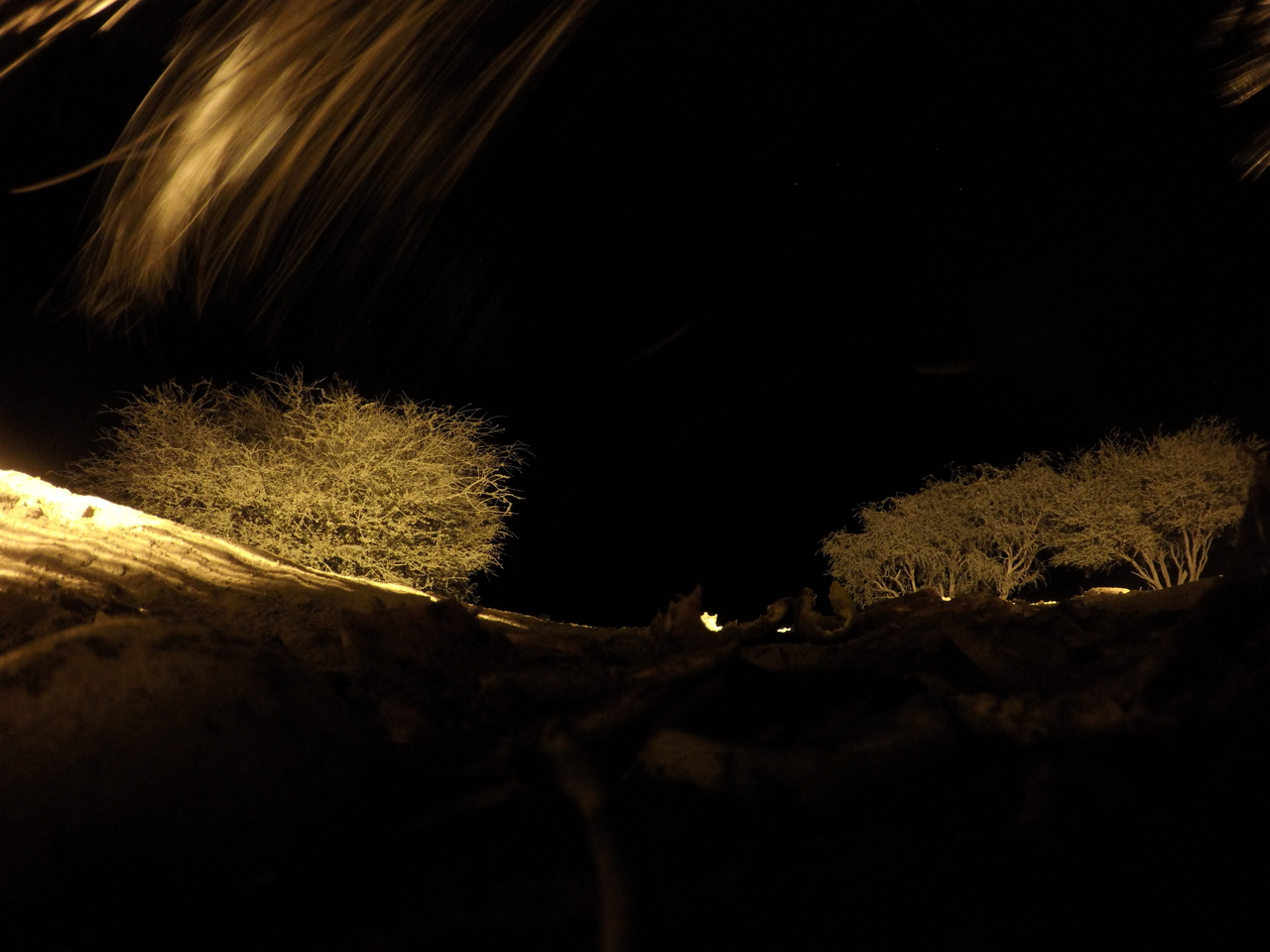 [10935] 2016_06_23_19_53_11_Africa_HERO4_Silver_IMG__00180.jpg