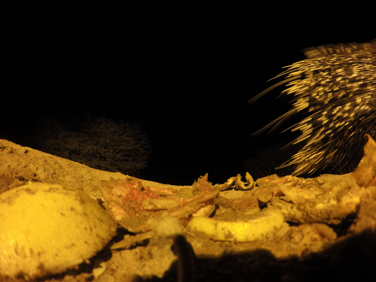 [10958] 2016_06_23_19_53_36_Africa_HERO4_Silver_IMG__04040.jpg