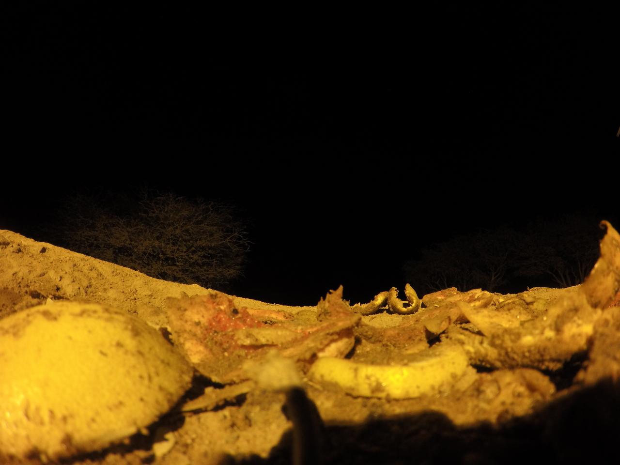 [10962] 2016_06_23_19_53_41_Africa_HERO4_Silver_IMG__04041.jpg