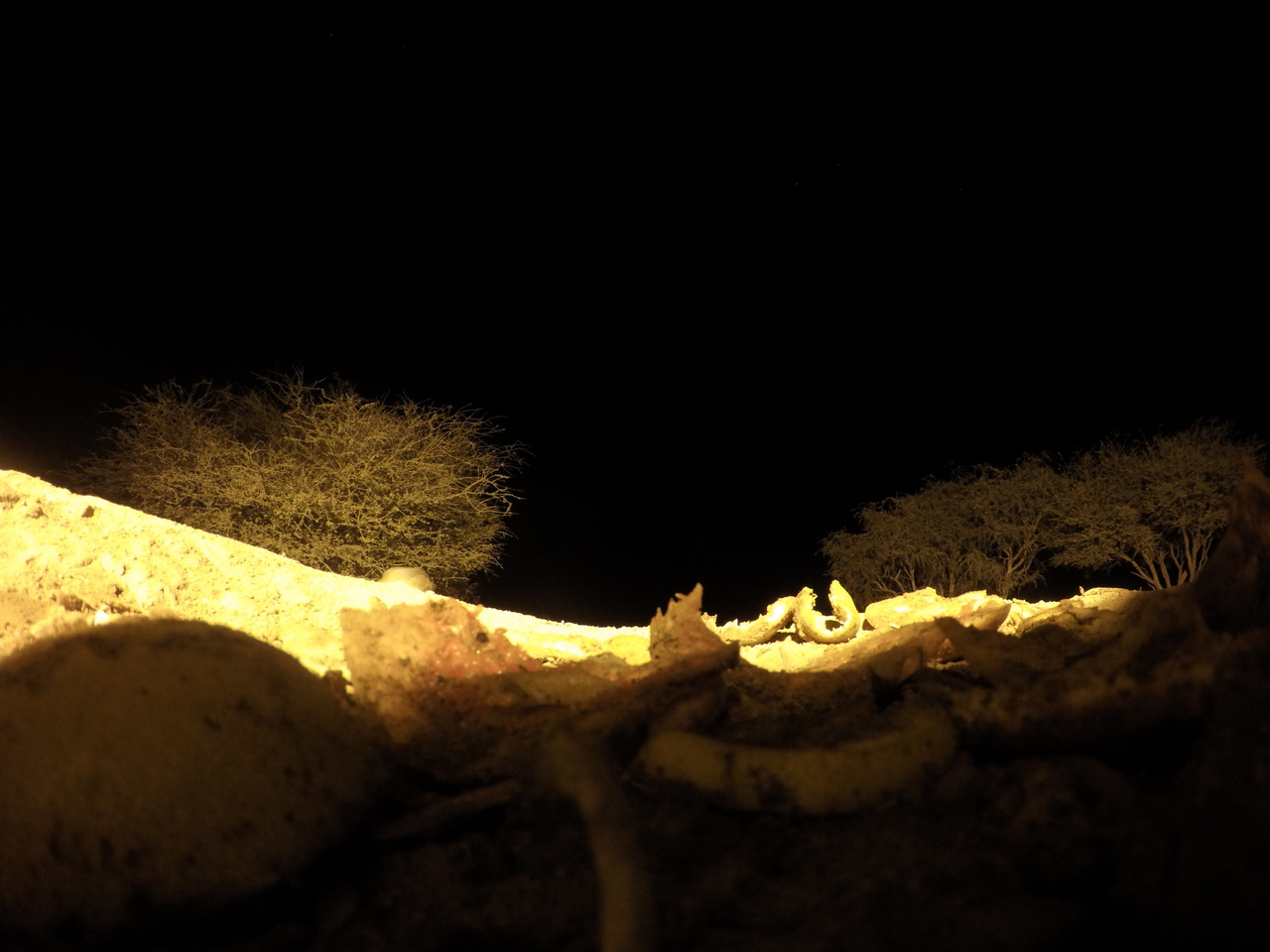 [10968] 2016_06_23_19_53_47_Africa_HERO4_Silver_IMG__04042.jpg