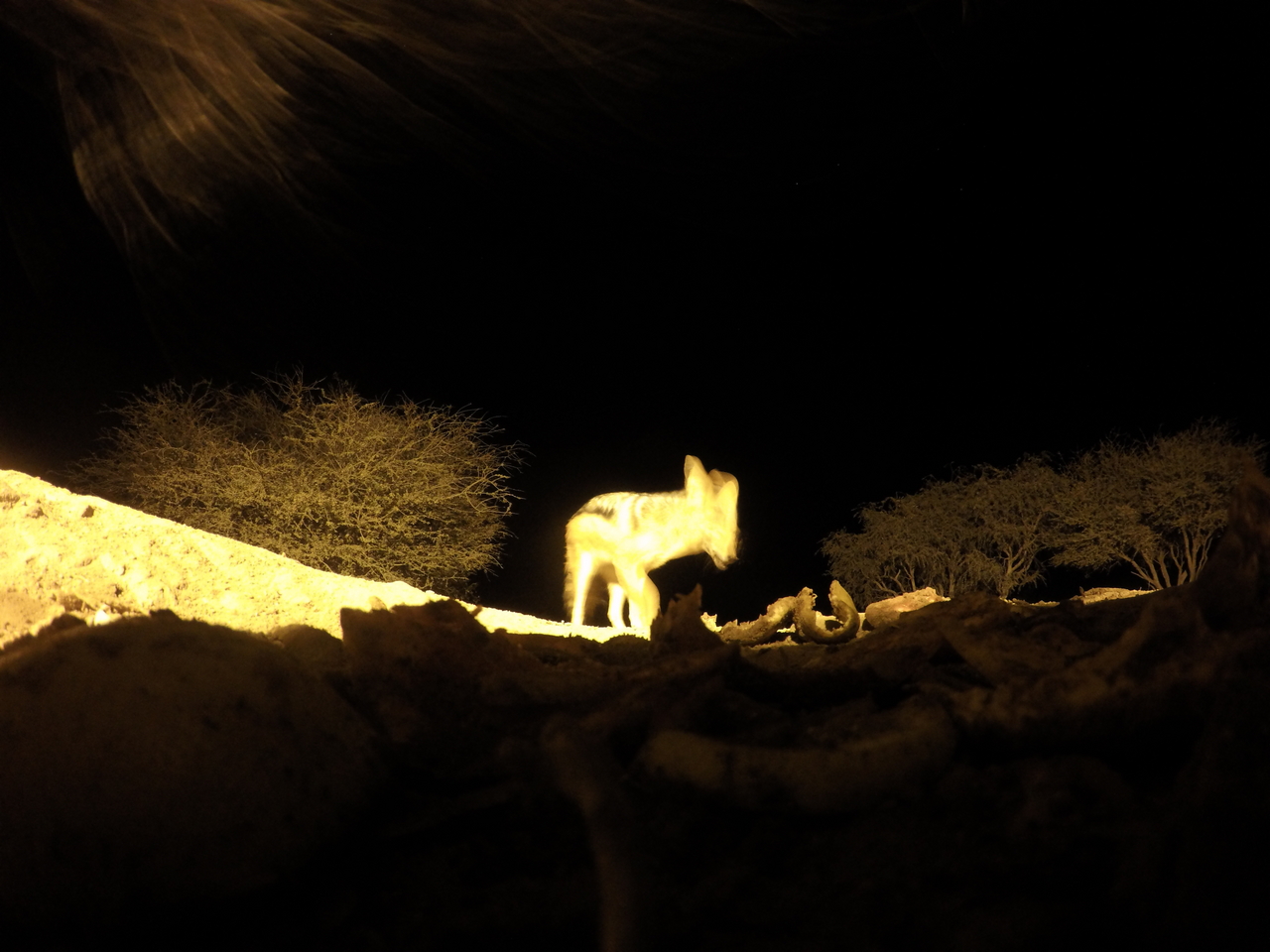 [10976] 2016_06_23_19_53_56_Africa_HERO4_Silver_IMG__04044.jpg