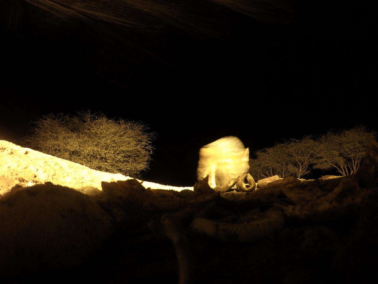 [10981] 2016_06_23_19_54_02_Africa_HERO4_Silver_IMG__00190.jpg