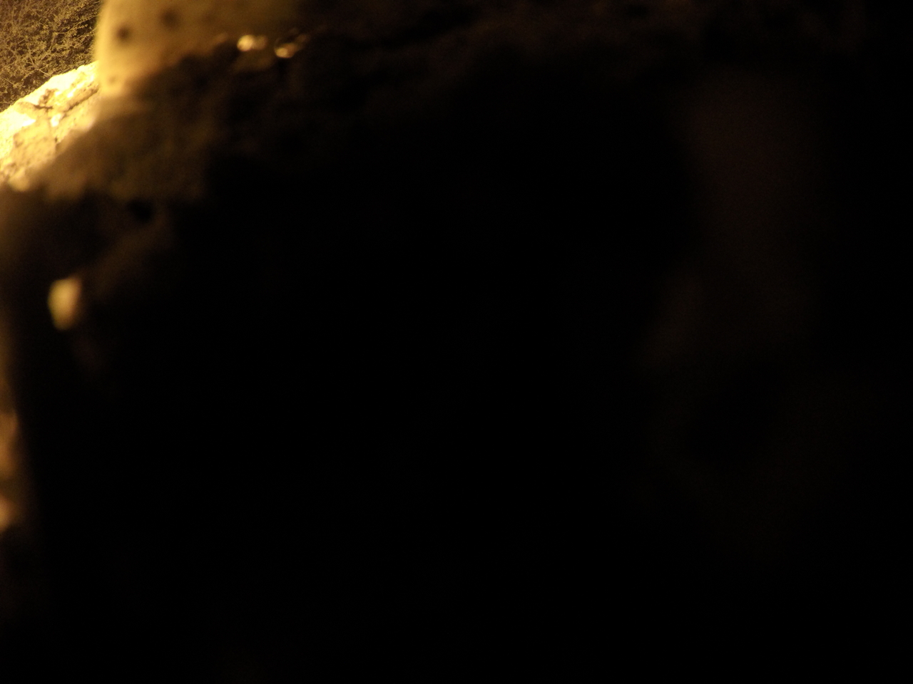 [11102] 2016_06_23_19_56_17_Africa_HERO4_Silver_IMG__04072.jpg