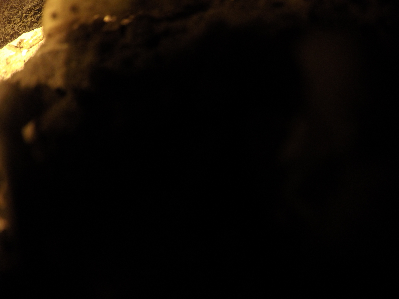 [11155] 2016_06_23_19_57_17_Africa_HERO4_Silver_IMG__00229.jpg