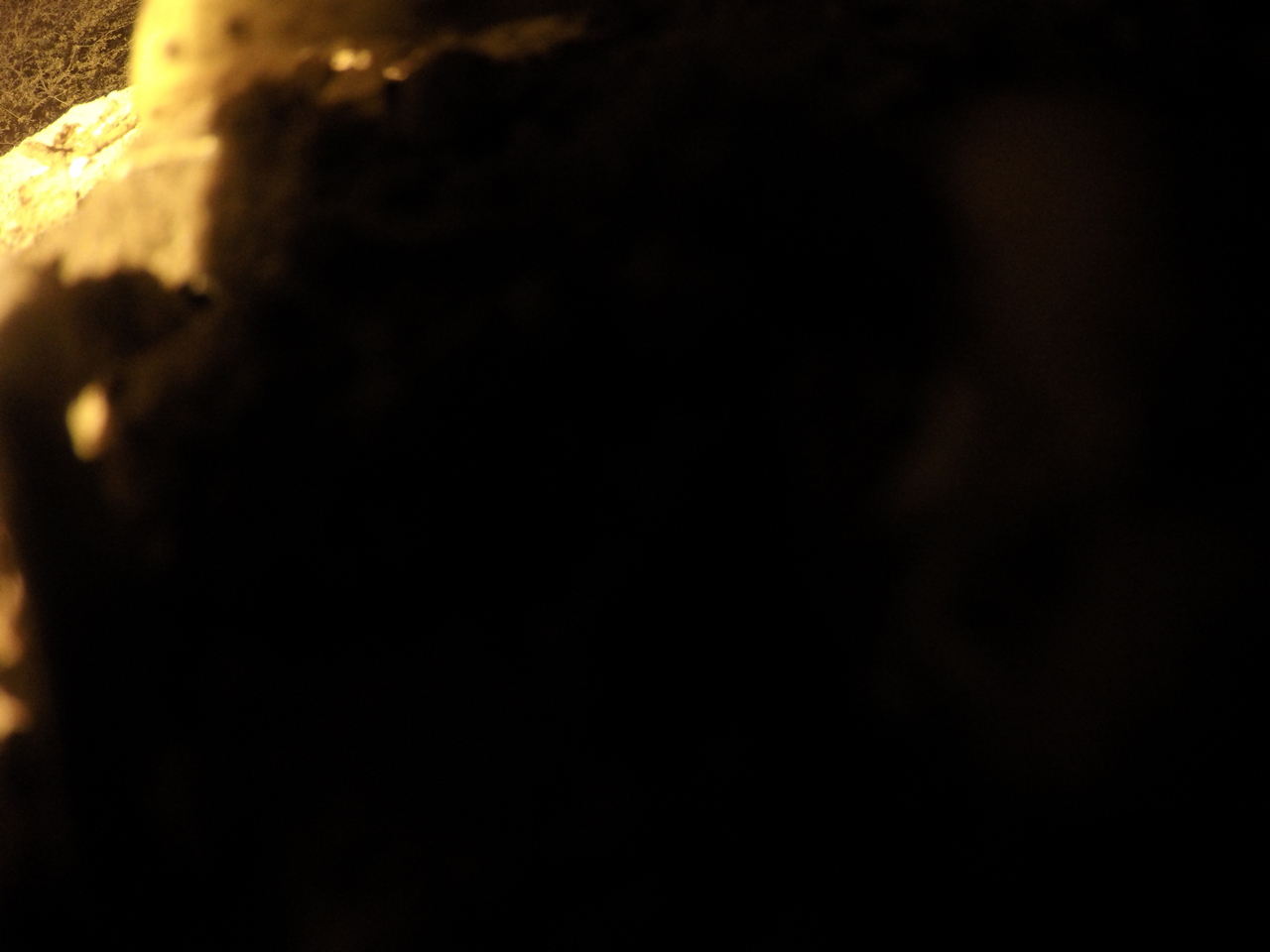 [11192] 2016_06_23_19_57_57_Africa_HERO4_Silver_IMG__04092.jpg