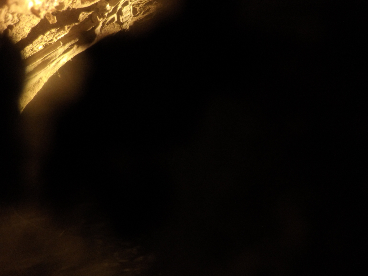 [11937] 2016_06_23_20_08_02_Africa_HERO4_Silver_IMG__04213.jpg