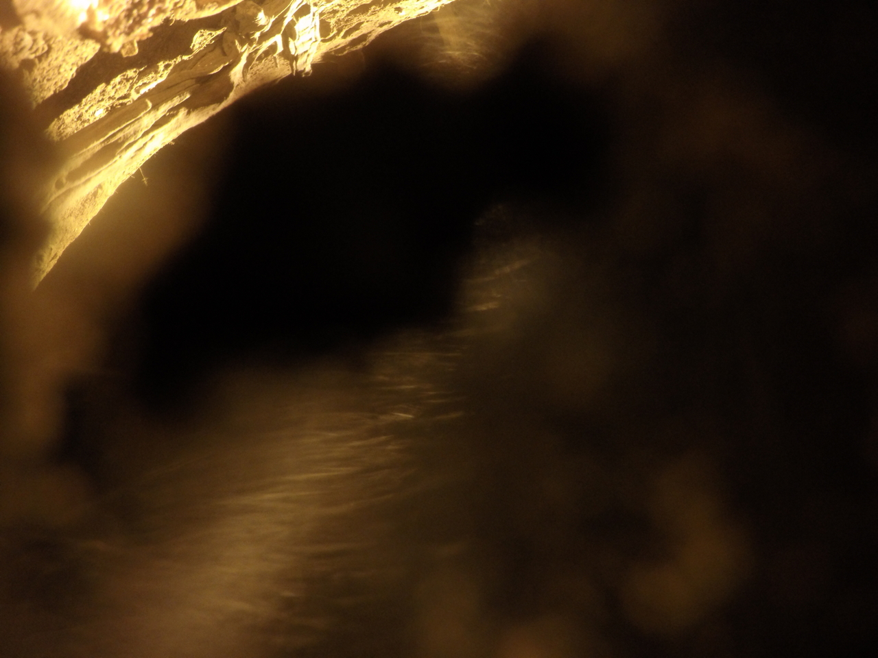 [11942] 2016_06_23_20_08_07_Africa_HERO4_Silver_IMG__04214.jpg