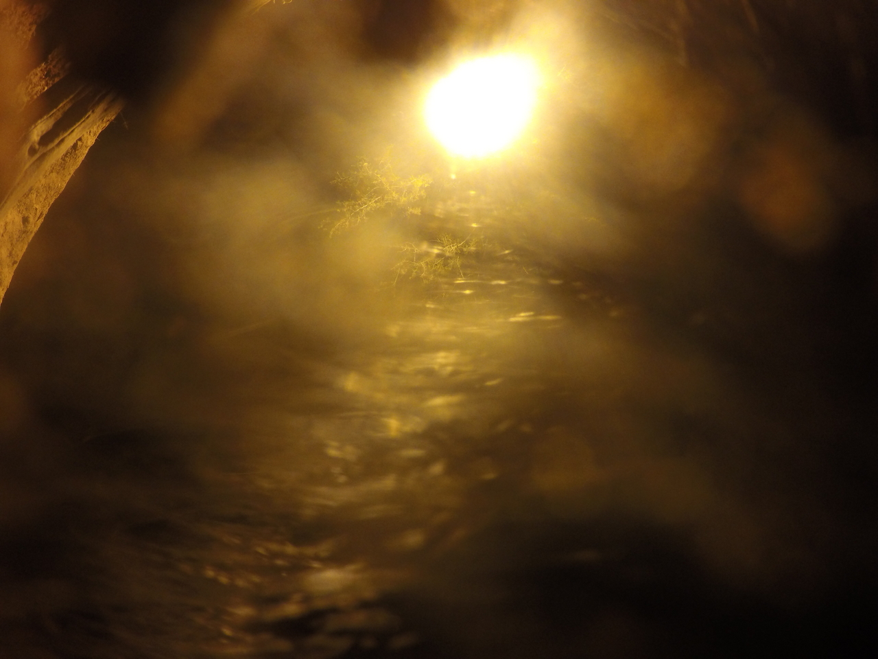 [11965] 2016_06_23_20_08_26_Africa_HERO4_Silver_IMG__04218.jpg