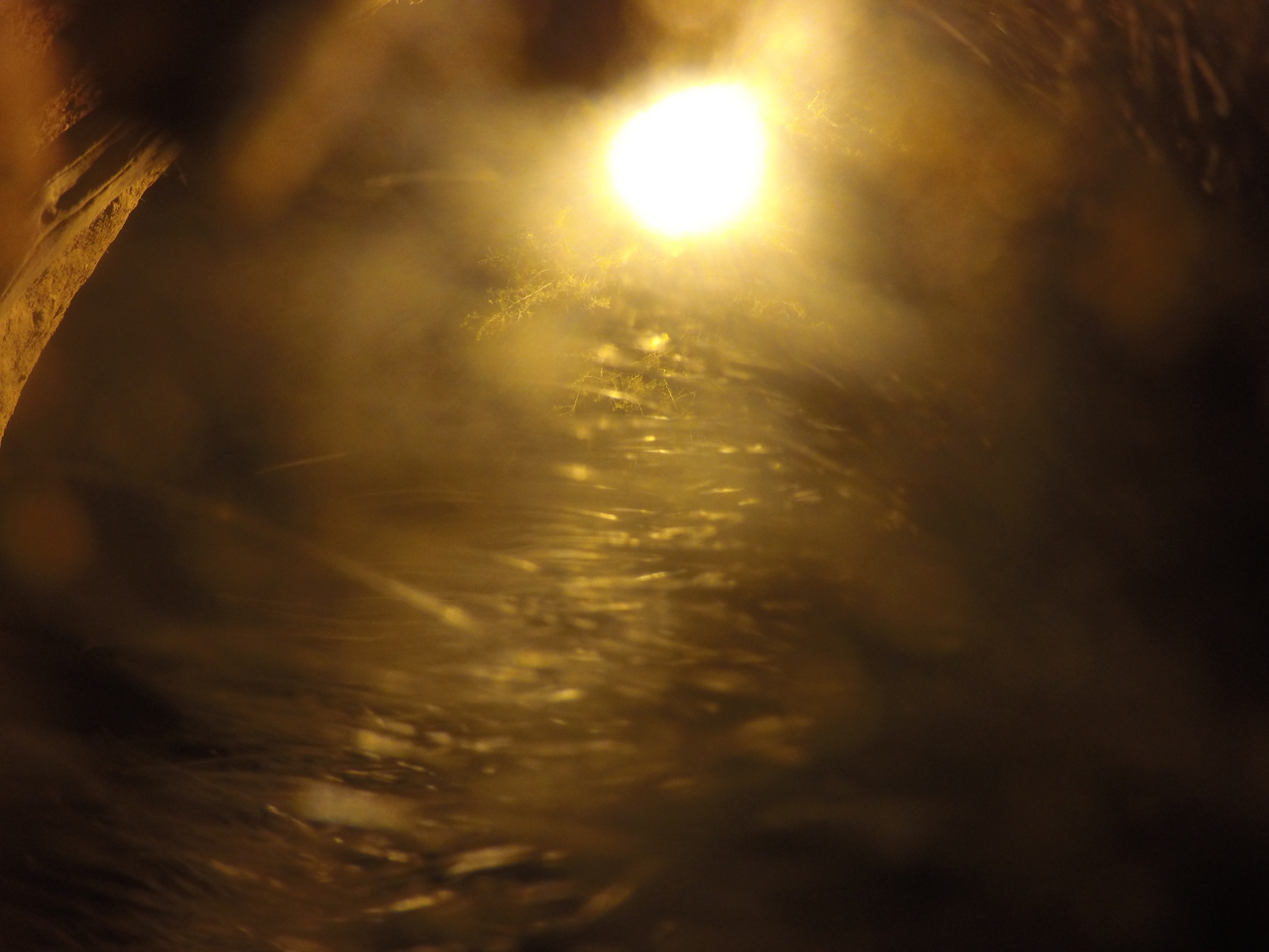 [11981] 2016_06_23_20_08_36_Africa_HERO4_Silver_IMG__04220.jpg