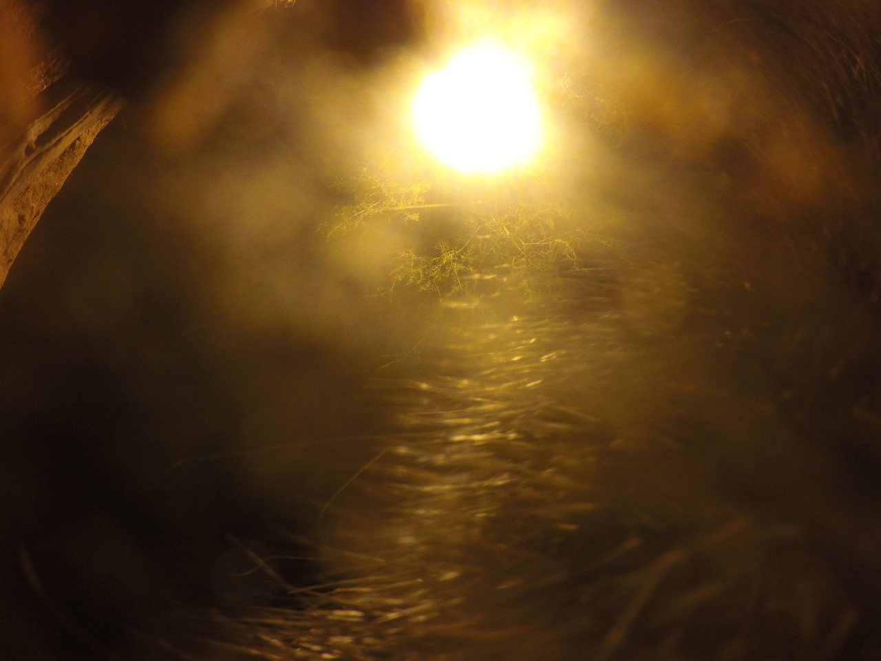 [12007] 2016_06_23_20_08_56_Africa_HERO4_Silver_IMG__04224.jpg