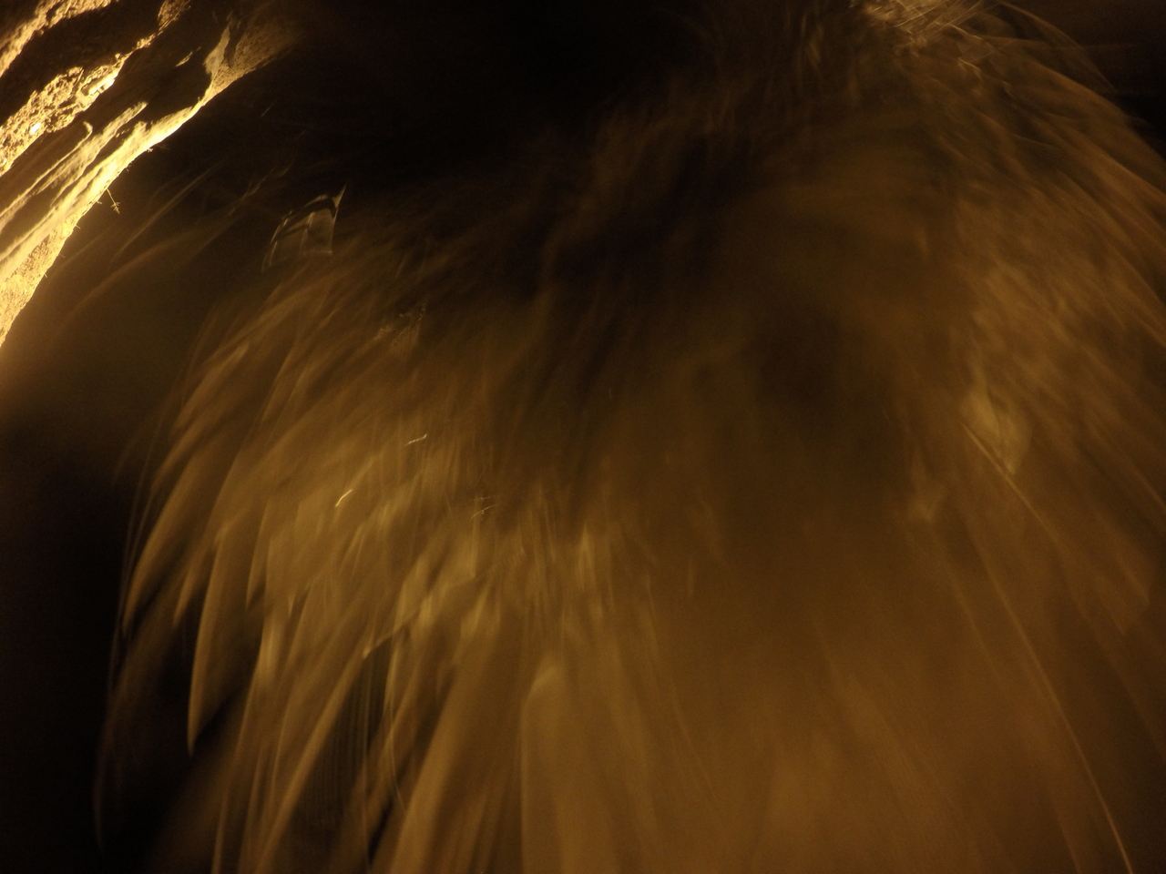 [12070] 2016_06_23_20_09_52_Africa_HERO4_Silver_IMG__00380.jpg