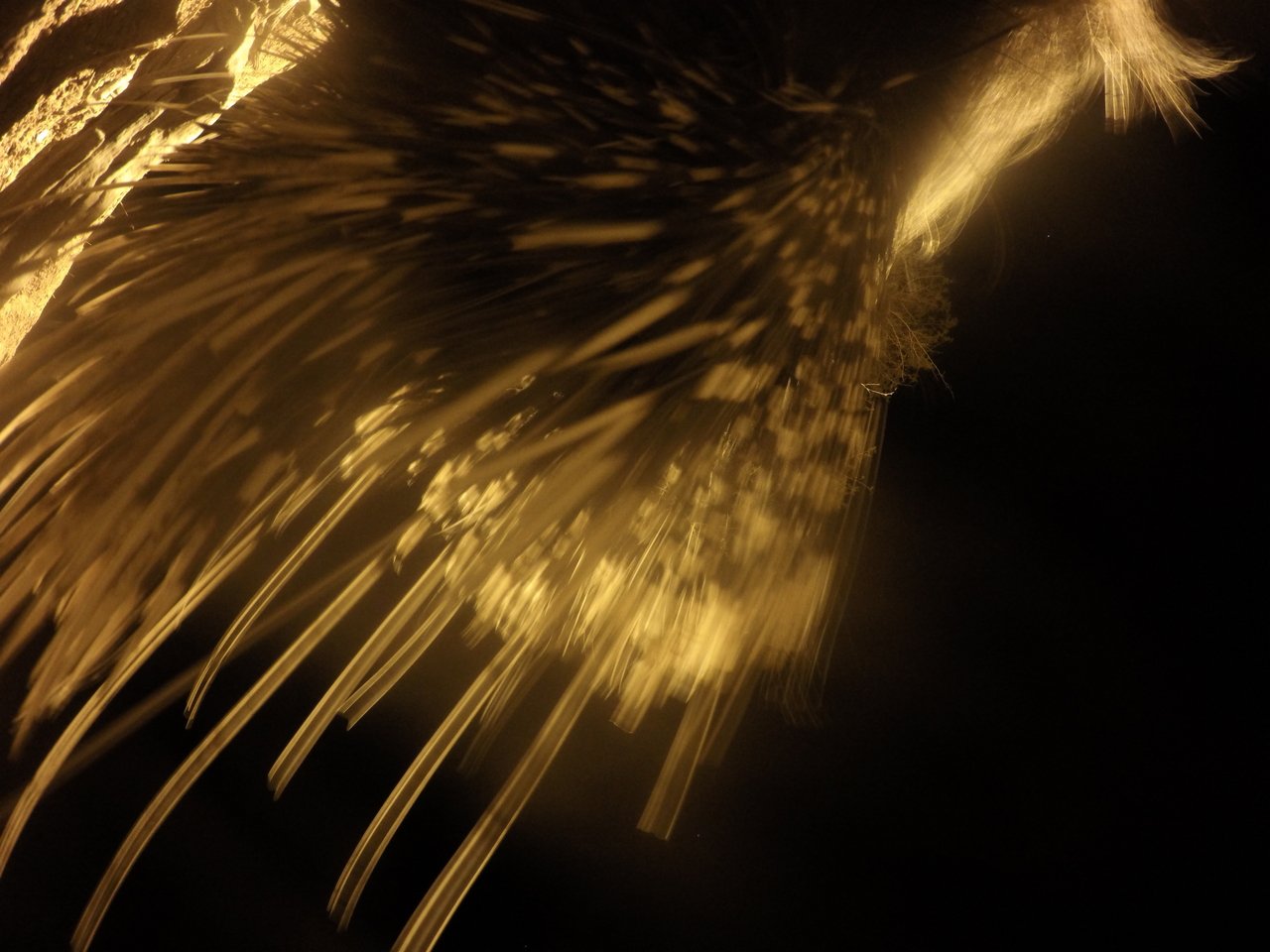 [12084] 2016_06_23_20_10_02_Africa_HERO4_Silver_IMG__04237.jpg