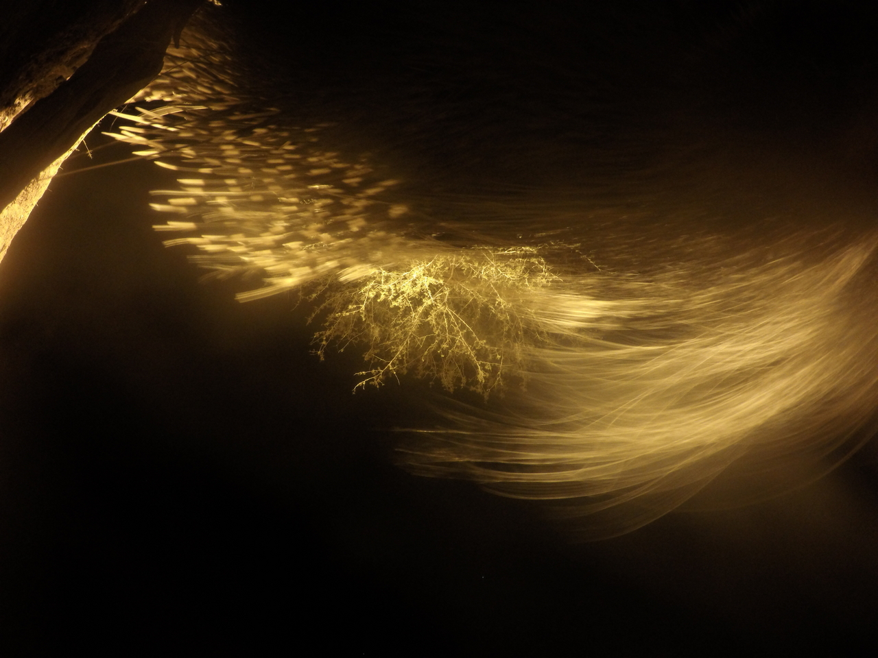 [12093] 2016_06_23_20_10_12_Africa_HERO4_Silver_IMG__00384.jpg