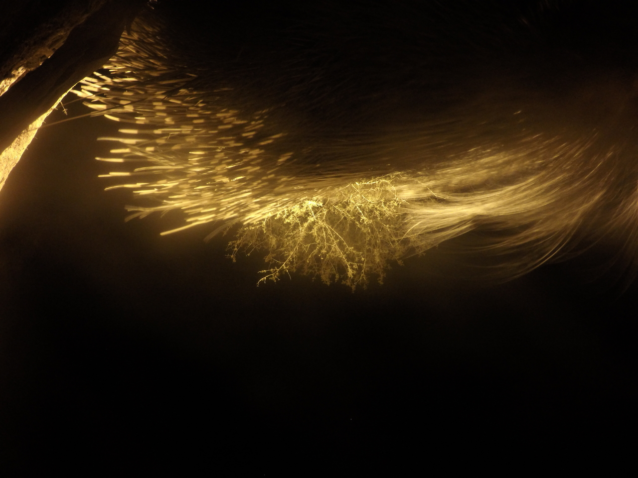 [12106] 2016_06_23_20_10_22_Africa_HERO4_Silver_IMG__00386.jpg