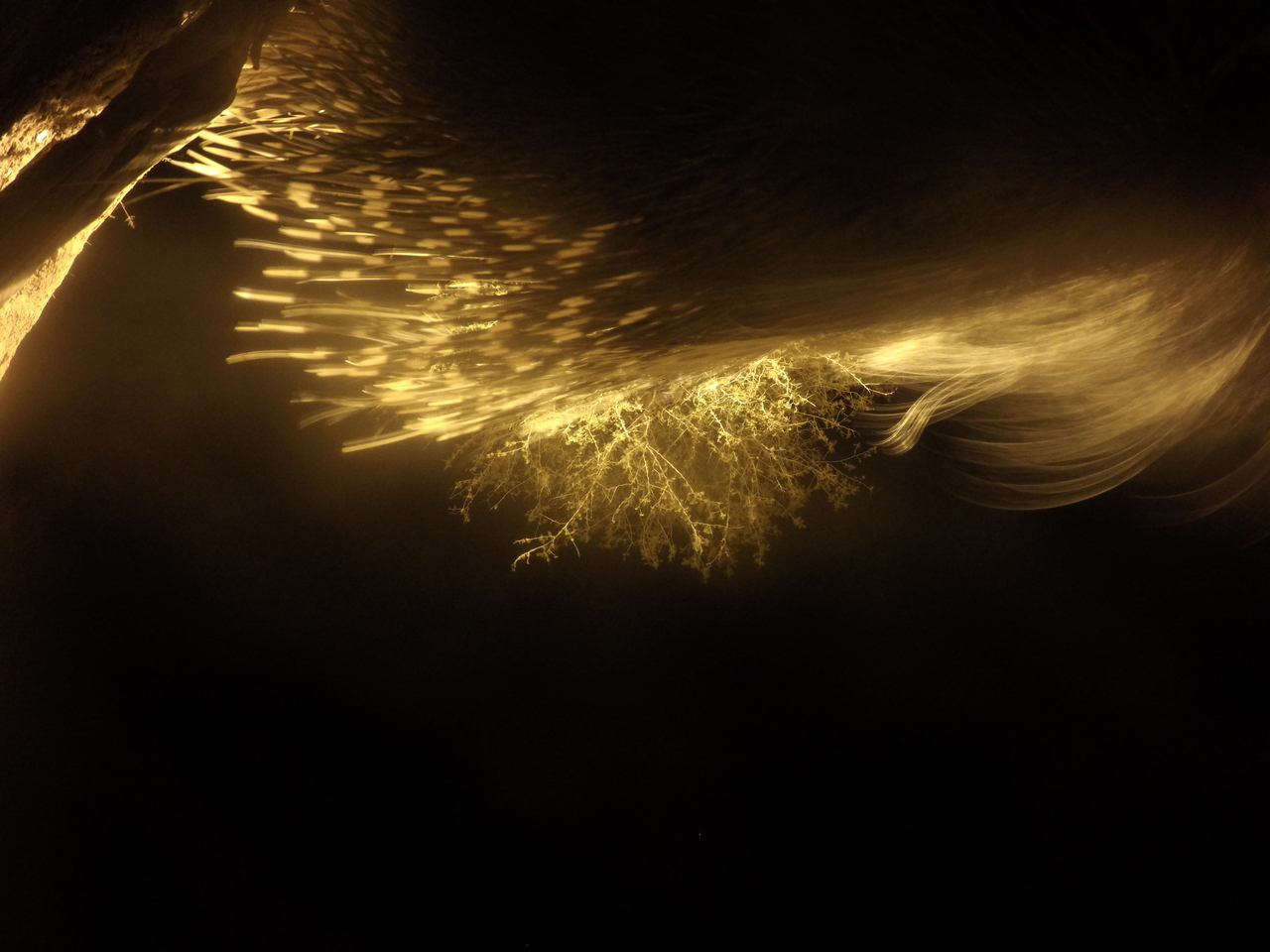 [12134] 2016_06_23_20_10_47_Africa_HERO4_Silver_IMG__00391.jpg