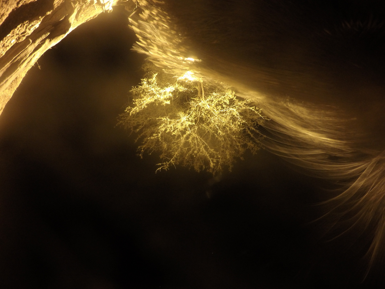 [12163] 2016_06_23_20_11_12_Africa_HERO4_Silver_IMG__04251.jpg