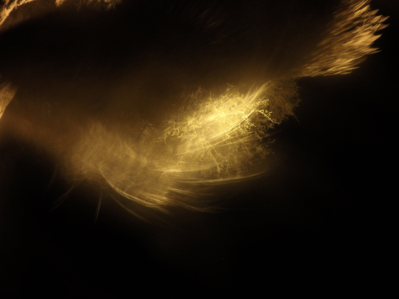 [12497] 2016_06_23_20_15_47_Africa_HERO4_Silver_IMG__00451.jpg