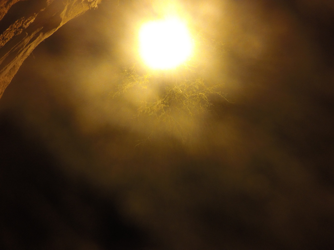 [12734] 2016_06_23_20_19_06_Africa_HERO4_Silver_IMG__04346.jpg