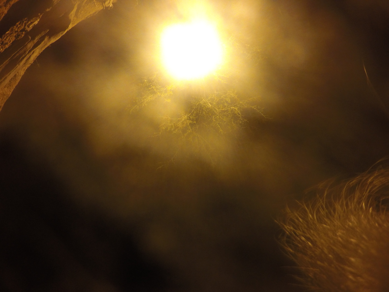 [13355] 2016_06_23_20_28_06_Africa_HERO4_Silver_IMG__04454.jpg