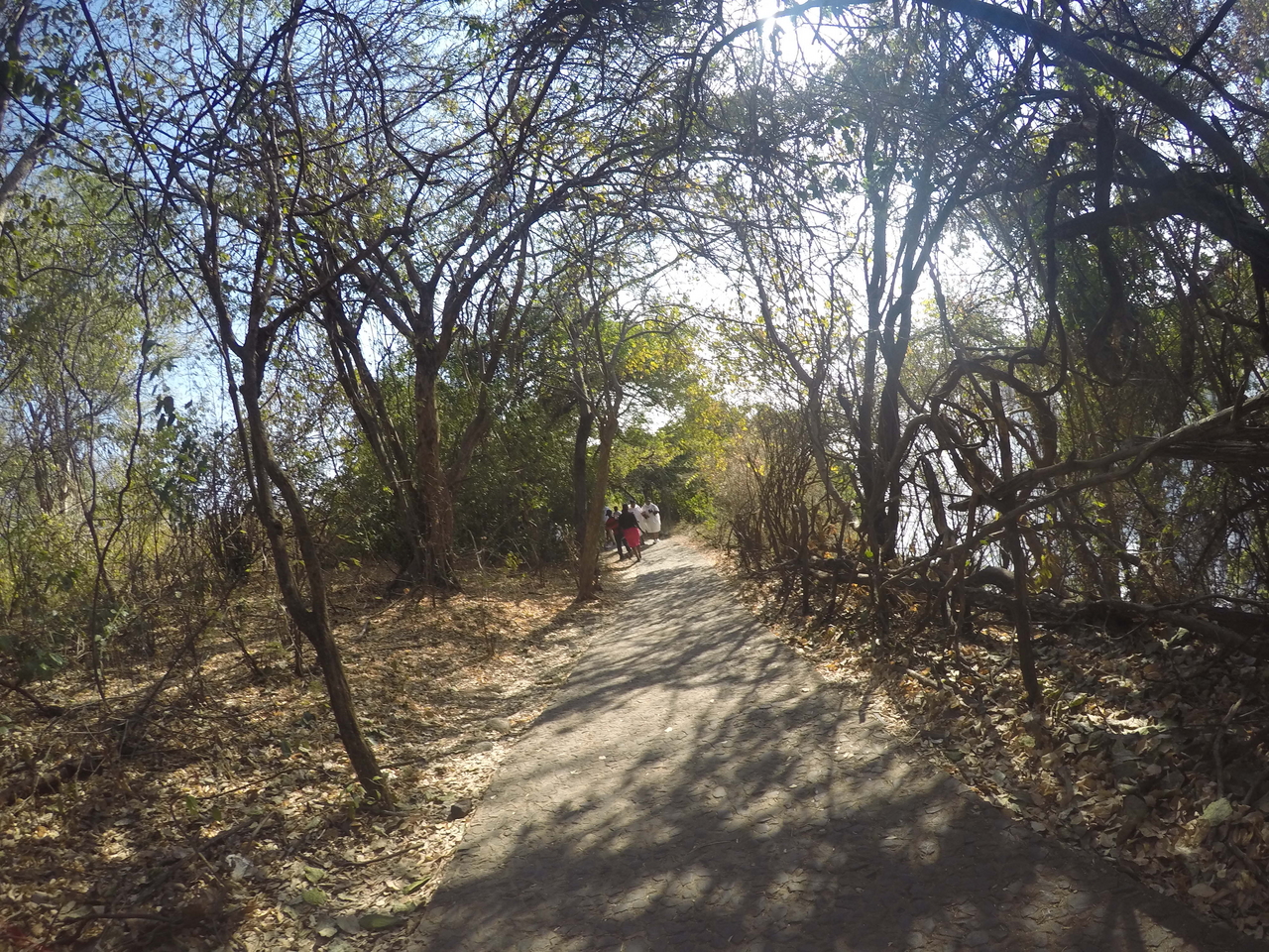 [32360] 2016_07_03_13_38_06_Africa_HERO4_Silver_IMG__00679.jpg