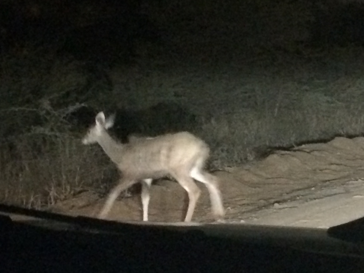 [244] 2016_06_21_13_13_13_Africa_iPhone_5s_IMG_8018_00102.jpg