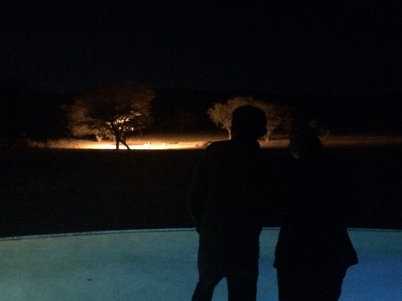 [347] 2016_06_21_16_11_59_Africa_iPhone_5s_IMG_8033_00120.jpg