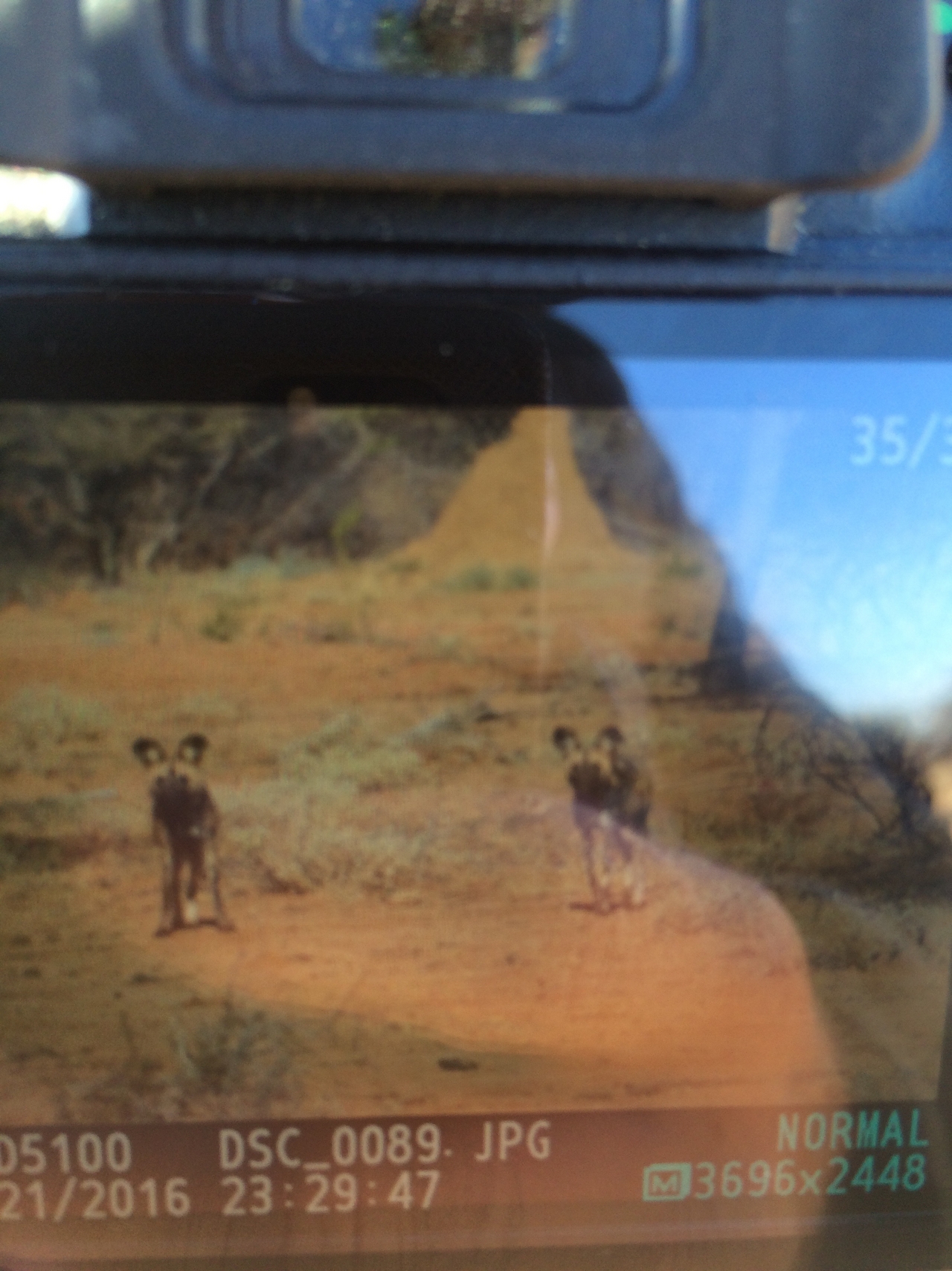 [1812] 2016_06_22_03_23_48_Africa_iPhone_5s_IMG__00161.jpg