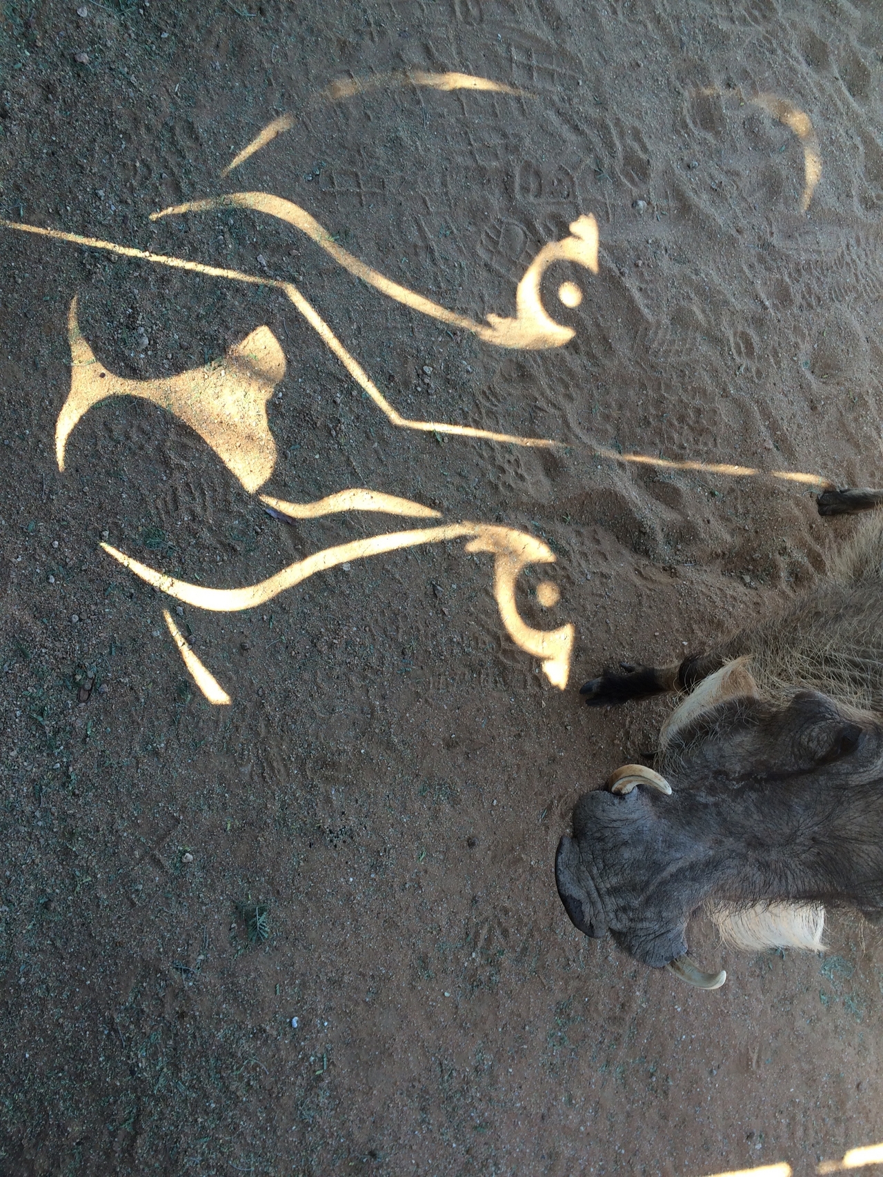 [2174] 2016_06_22_05_56_34_Africa_iPhone_5s_IMG_8072_00184.jpg