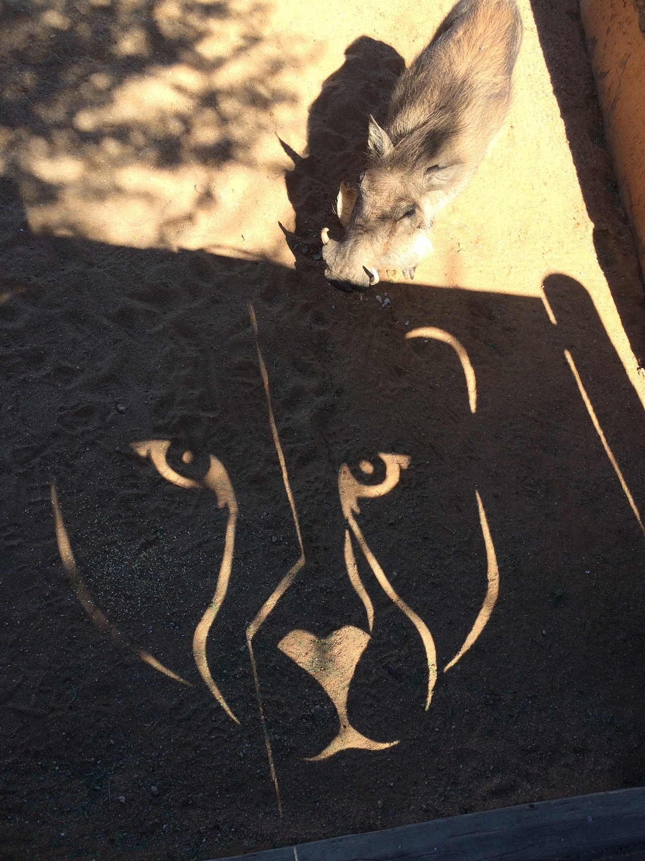 [2193] 2016_06_22_06_01_02_Africa_iPhone_5s_IMG_8077_05806.jpg