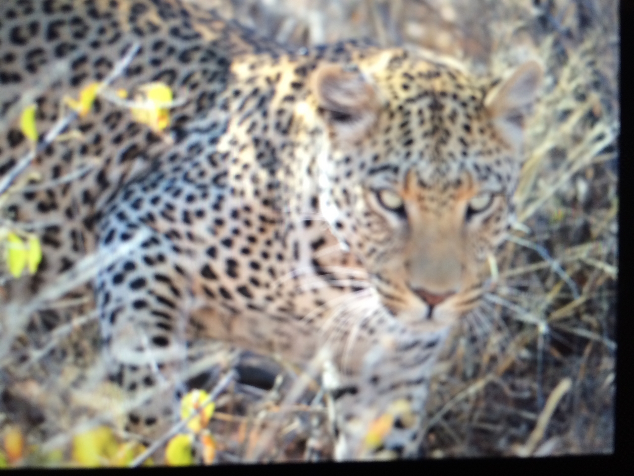 [2214] 2016_06_22_07_04_24_Africa_iPhone_5s_IMG__00197.jpg