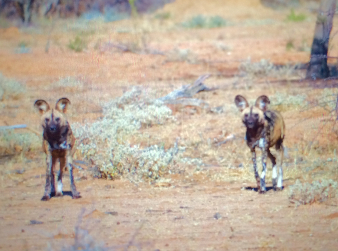 [2228] 2016_06_22_07_06_09_Africa_iPhone_5s_IMG__00203.jpg