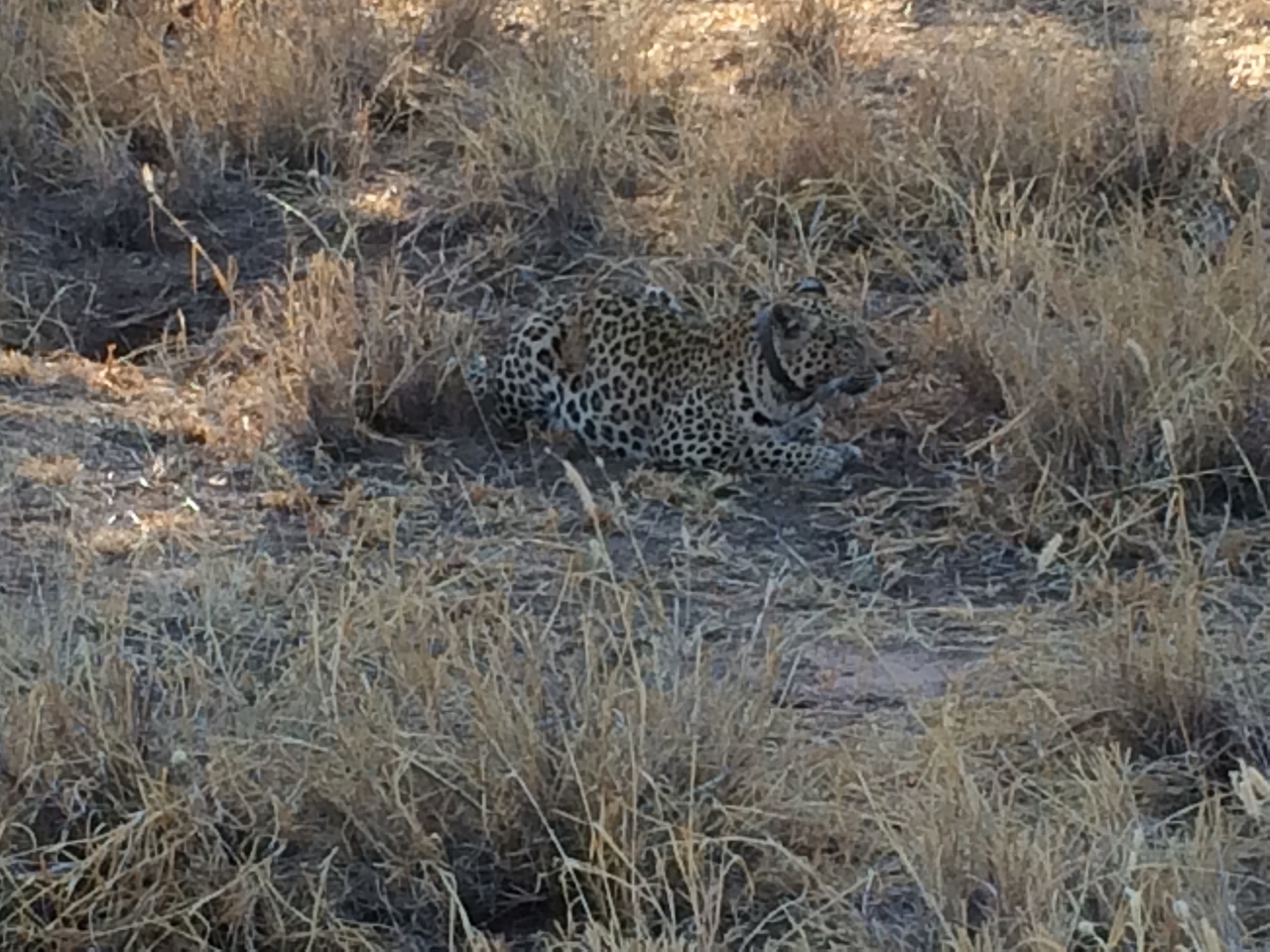 [2589] 2016_06_22_10_59_15_Africa_iPhone_5s_IMG_8089_05824.jpg