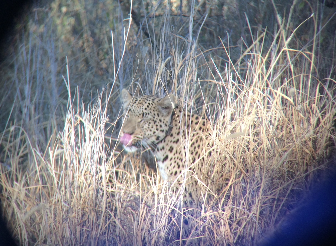 [2962] 2016_06_22_11_08_13_Africa_iPhone_5s_IMG__05829.jpg