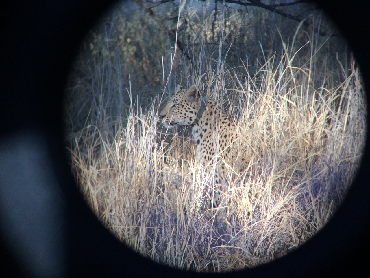 [2964] 2016_06_22_11_08_21_Africa_iPhone_5s_IMG_8093_05830.jpg