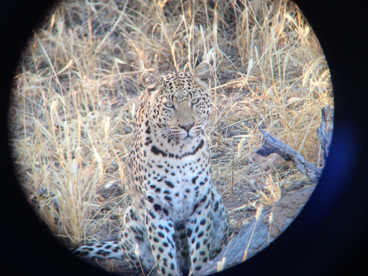 [3204] 2016_06_22_11_23_29_Africa_iPhone_5s_IMG_8106_00222.jpg